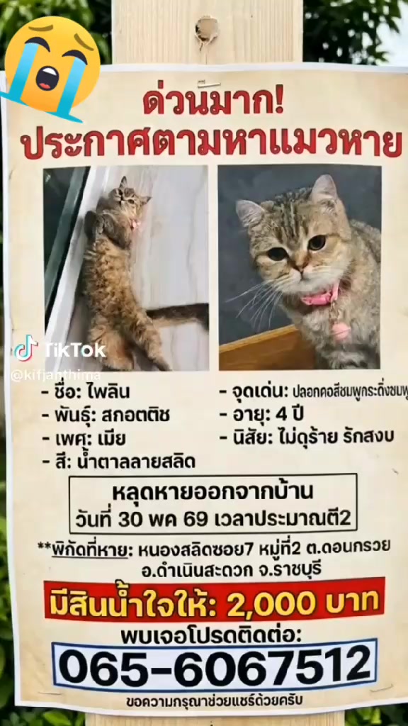 @อา เฟีย.💝