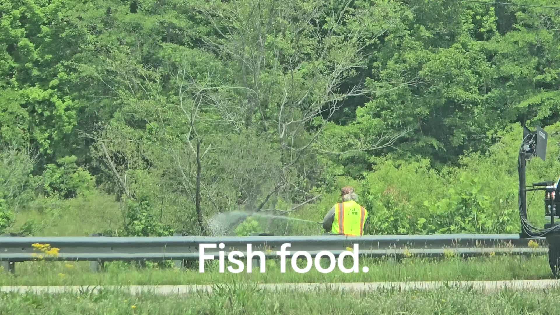 @KingDaddyDoc