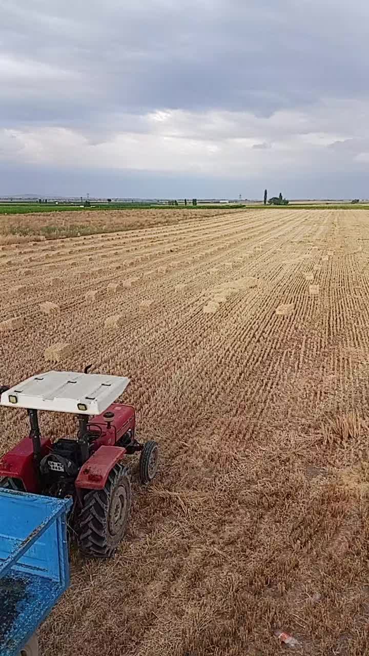 @Hakan Güzel