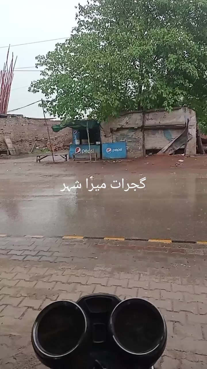 @H&H birds Gujrat ❤