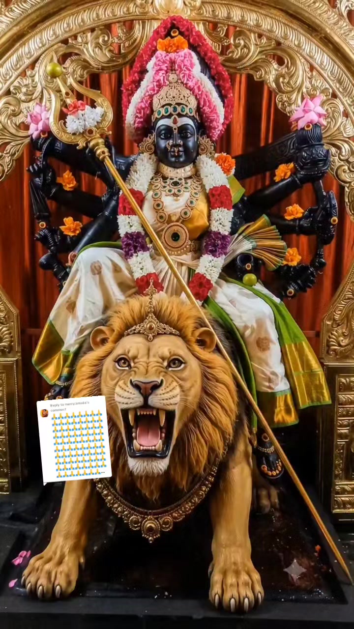 @பேப்பர் ஐடி 248 🌹1
