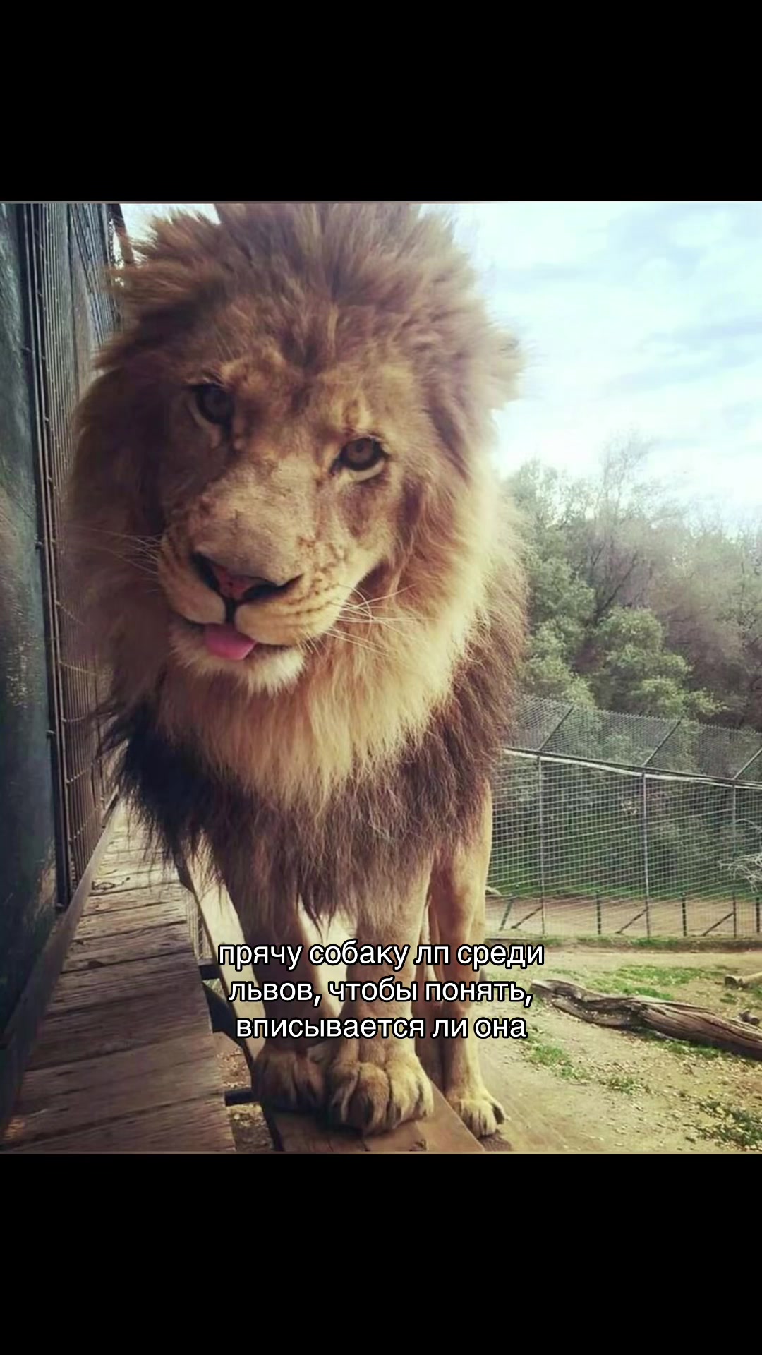 @~~~