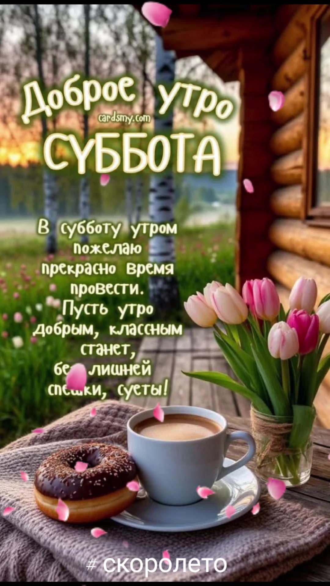 @СветЛана И