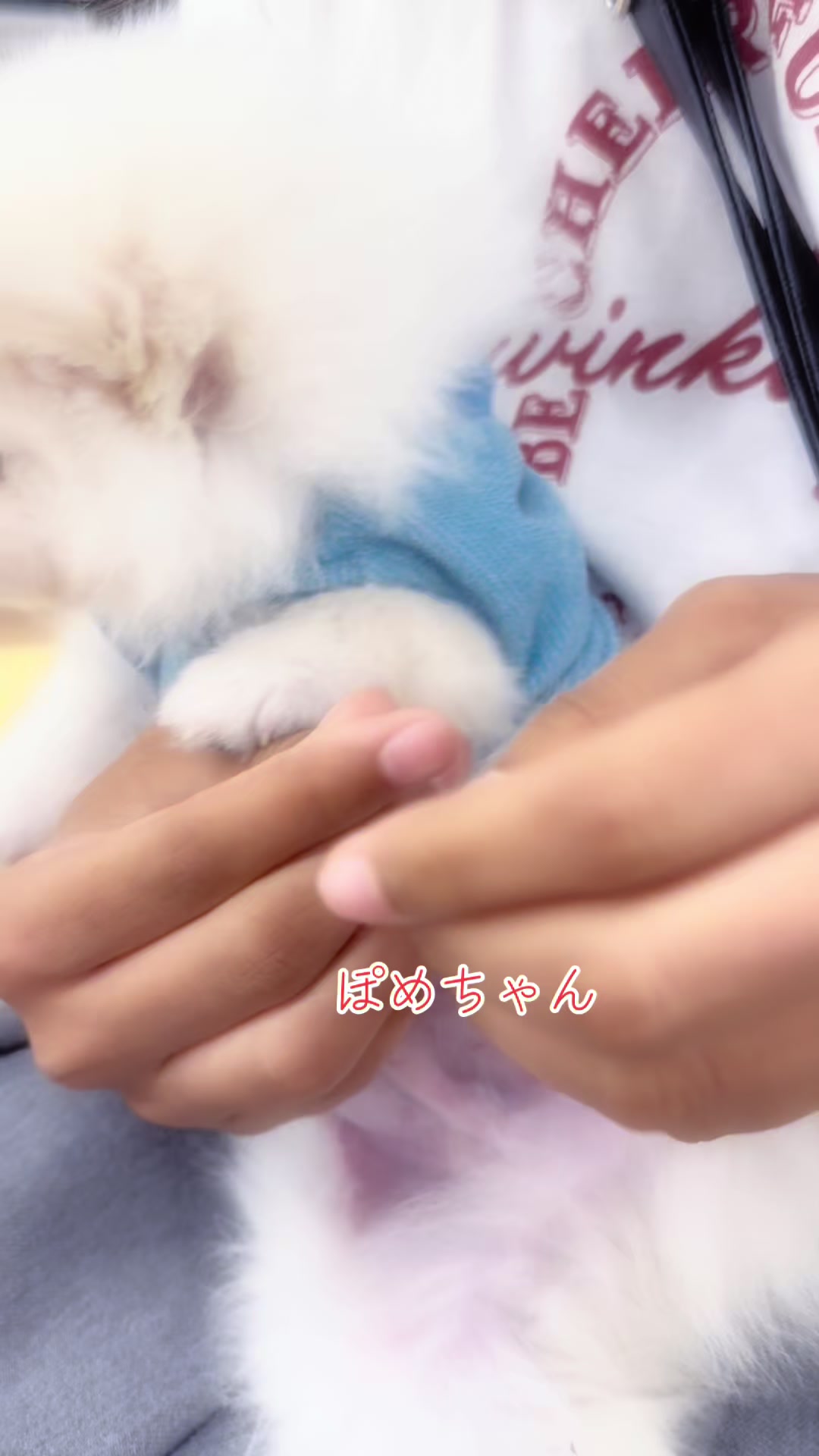 @Yu
