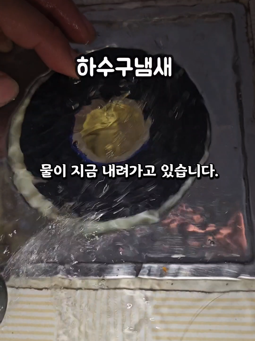 @리리꿀팁모음