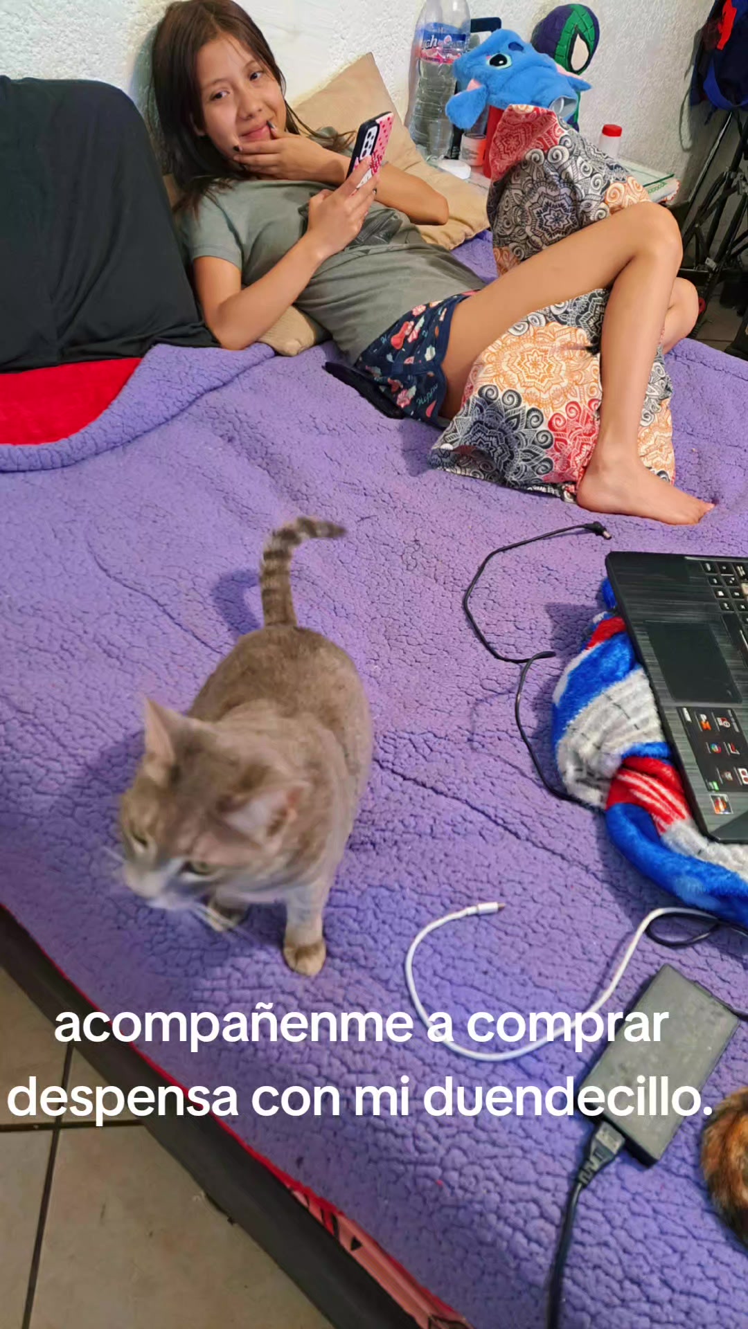 @alexcet