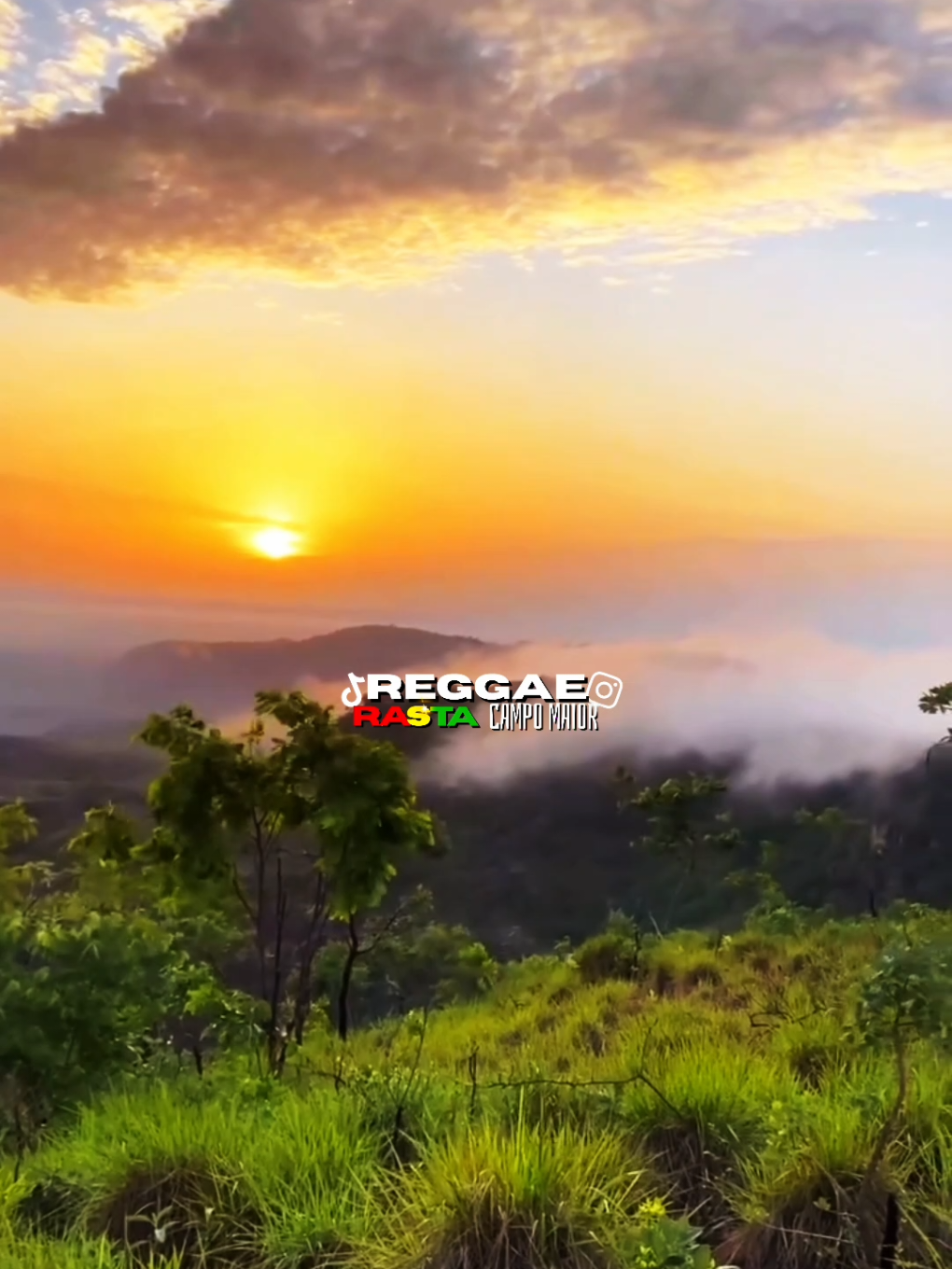 @REGGAE RASTA CM