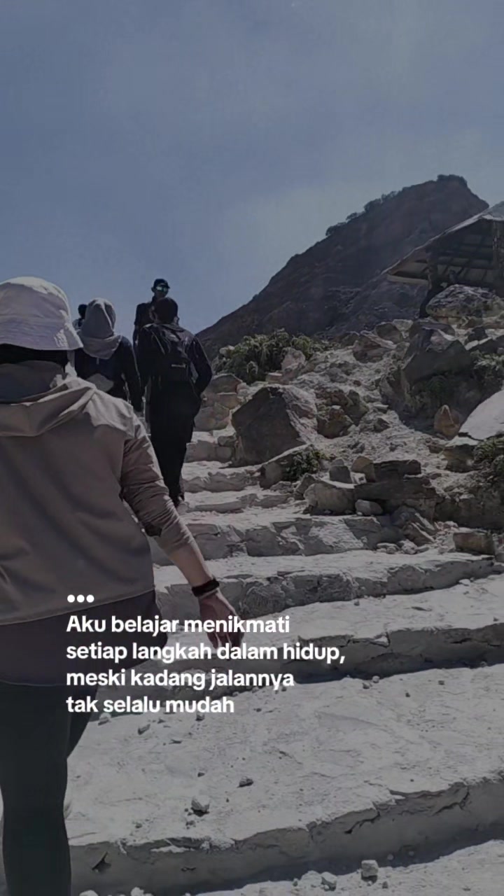 @Ndj80