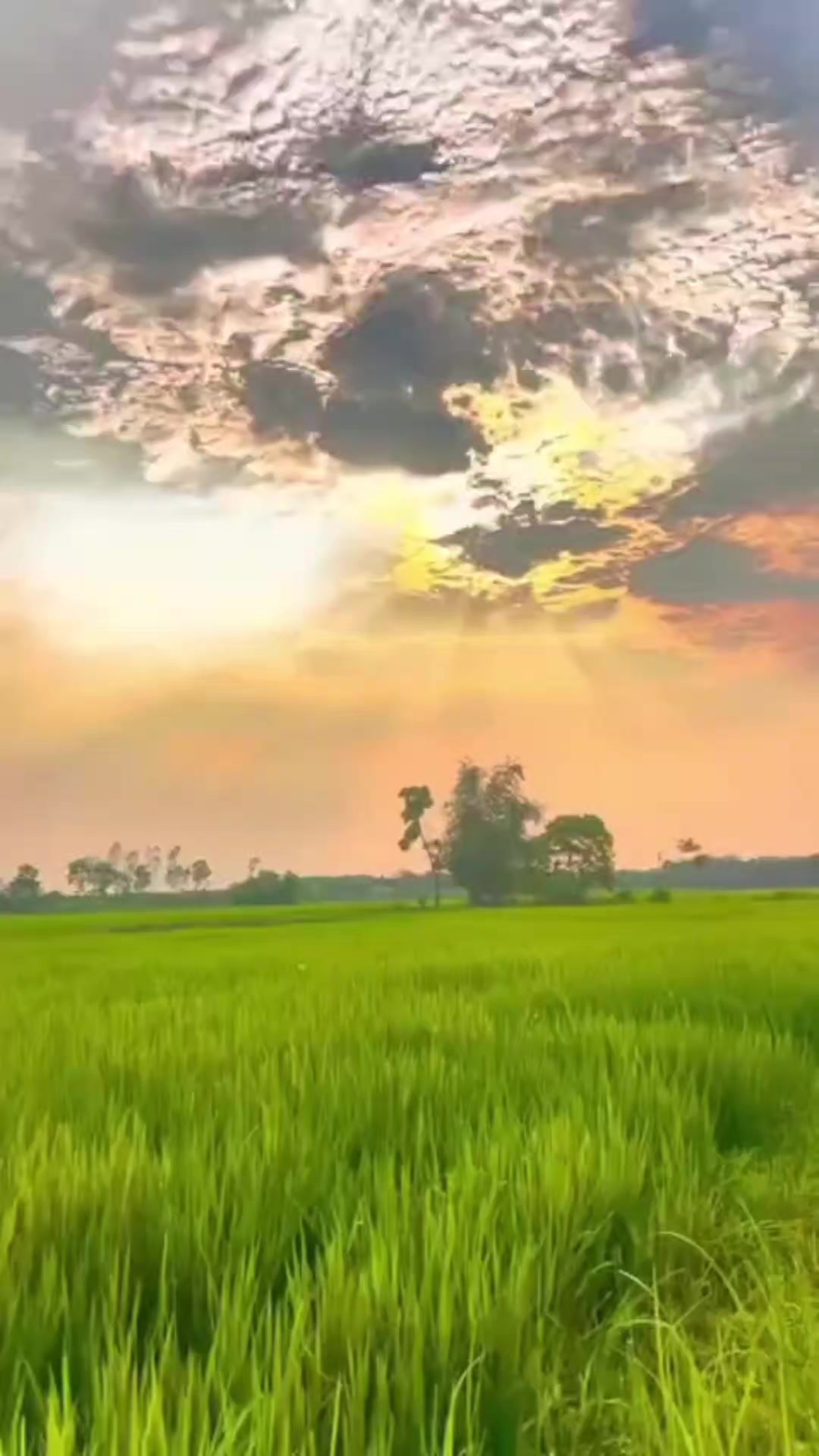 @Iwan Setiawan