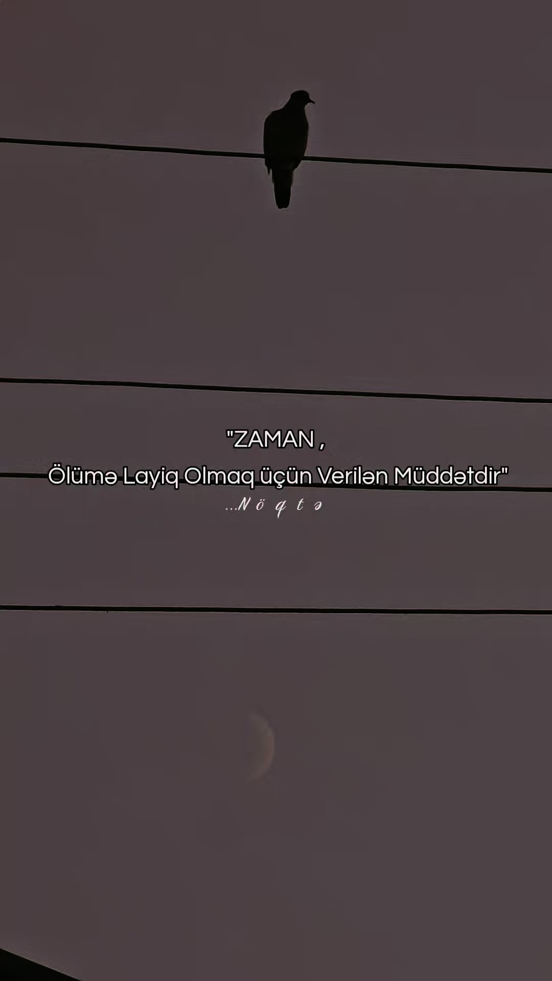 @...Noqte