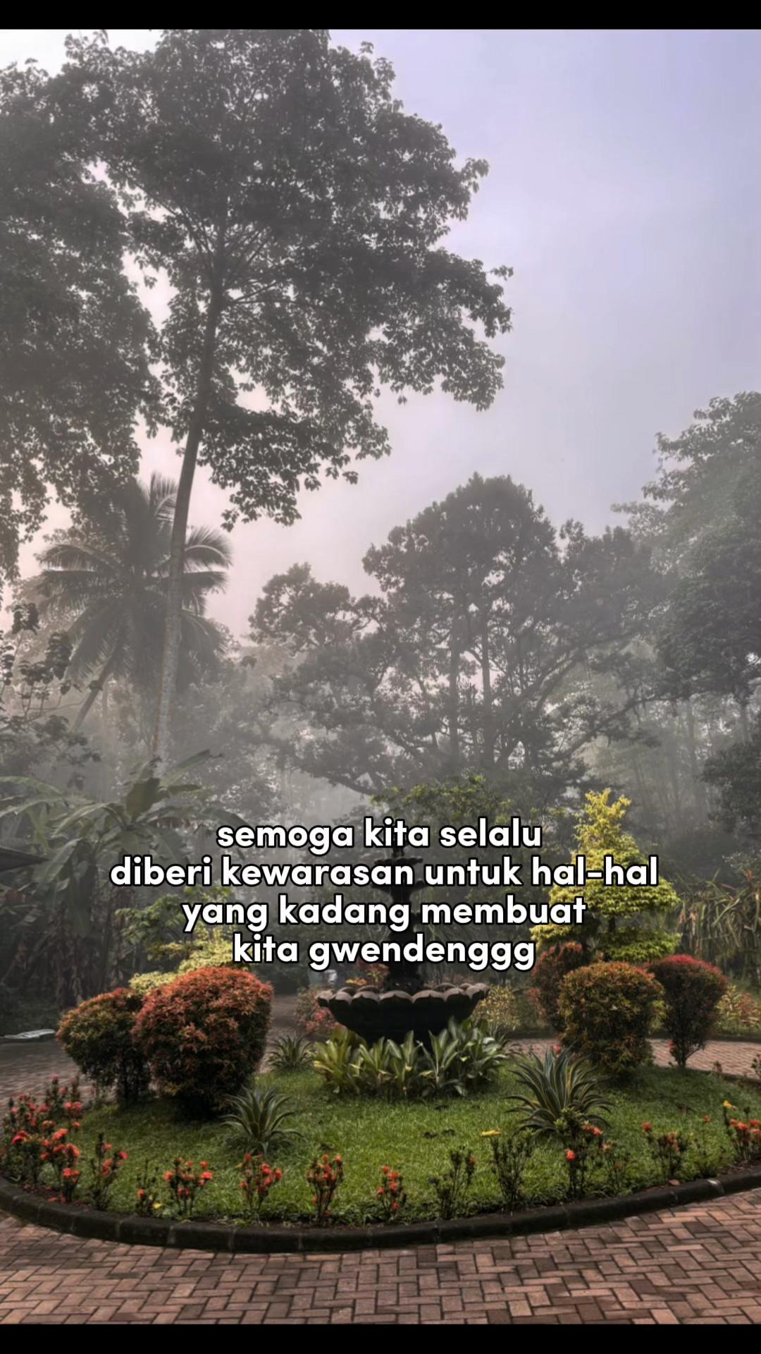 @Tiwis Tea