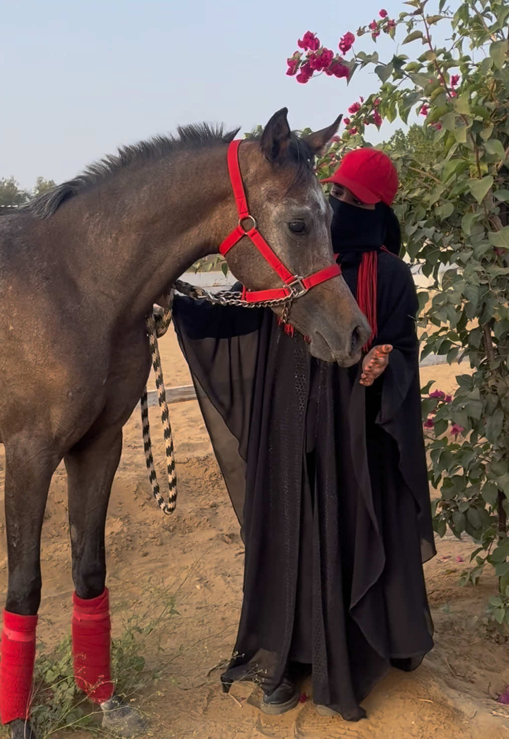 @الفارسِه المُلثمة | 1439