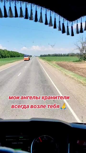 @Светлана Толстикова