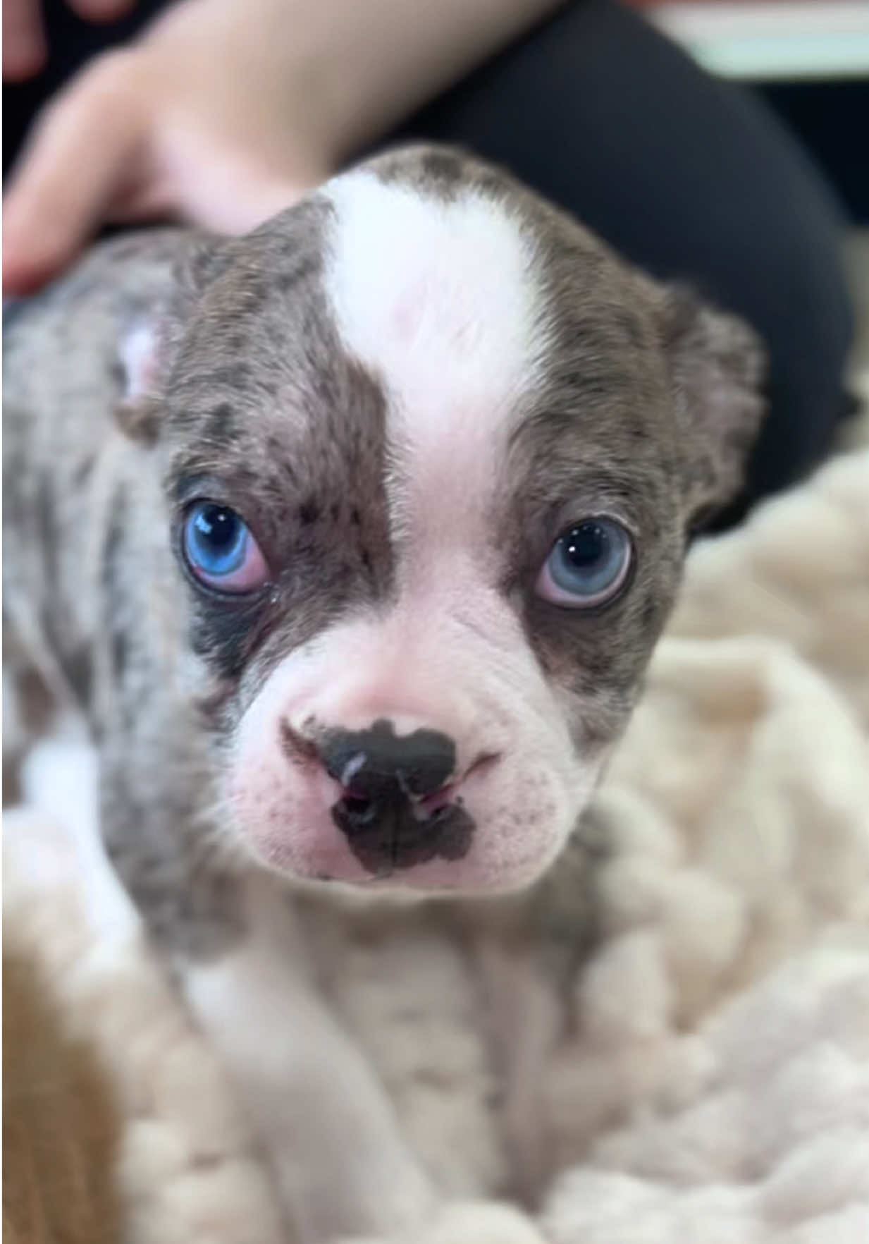 @Petland Oklahoma City