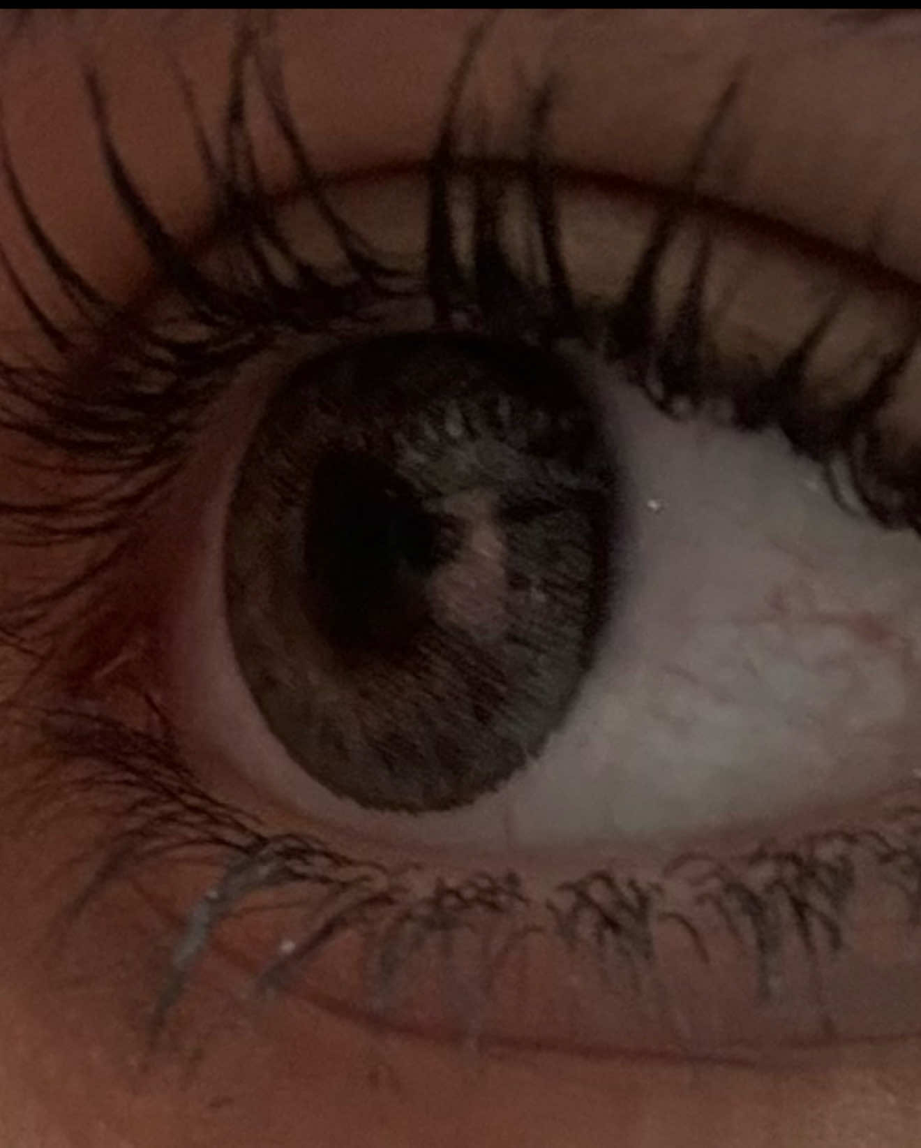 @𝖬𝖠𝖱𝖸𝖠𝖬