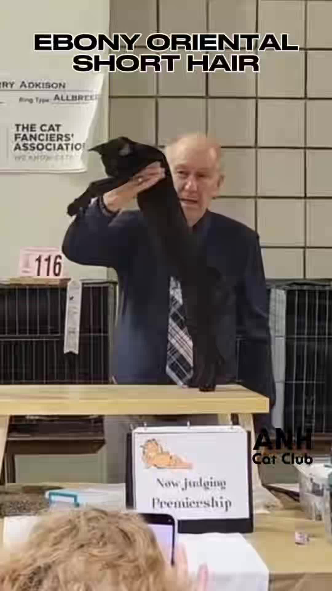@NewVisionCatClub