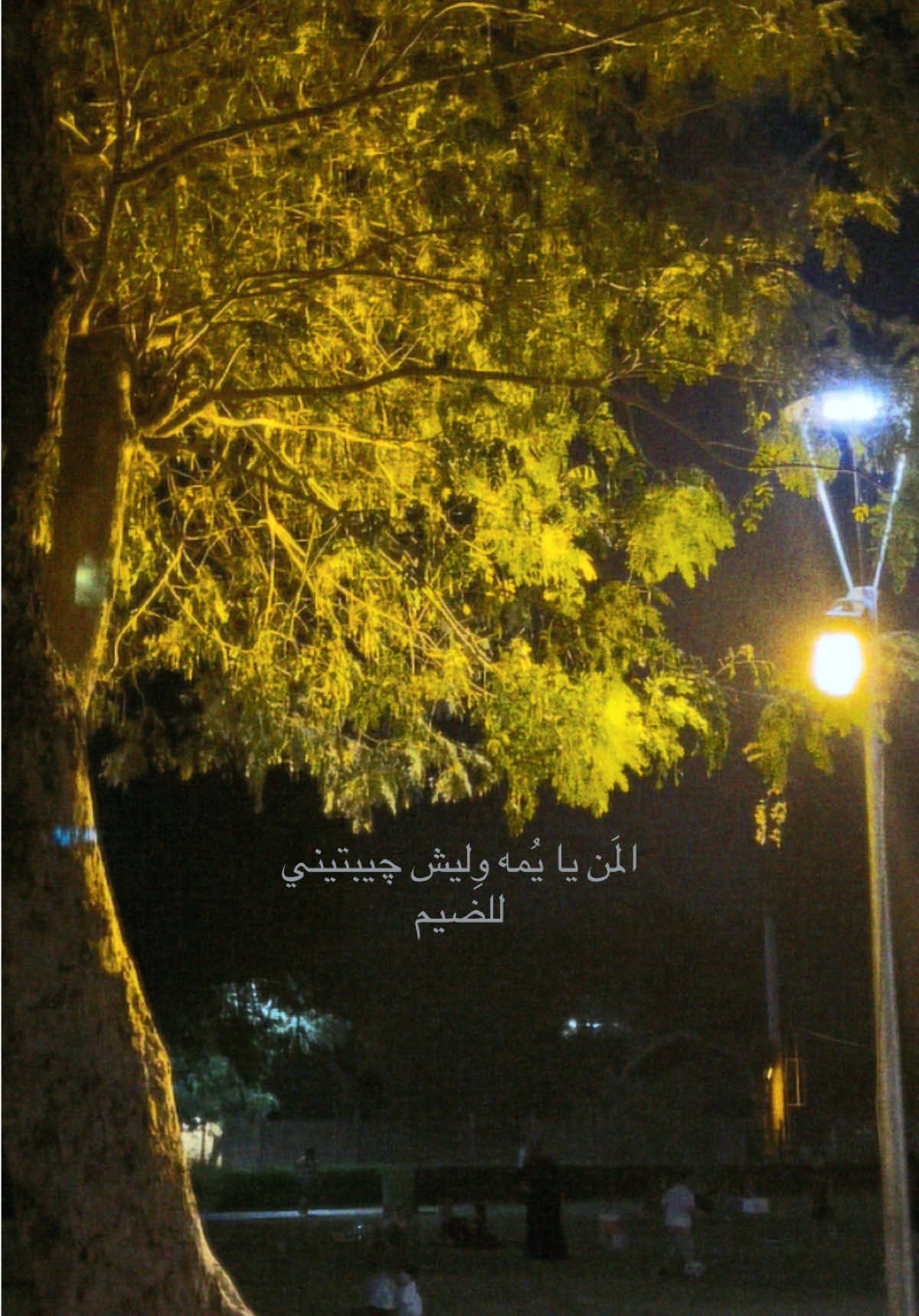 @ايَـات