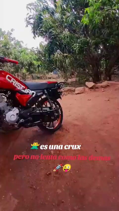 @Noel bekelef🤑