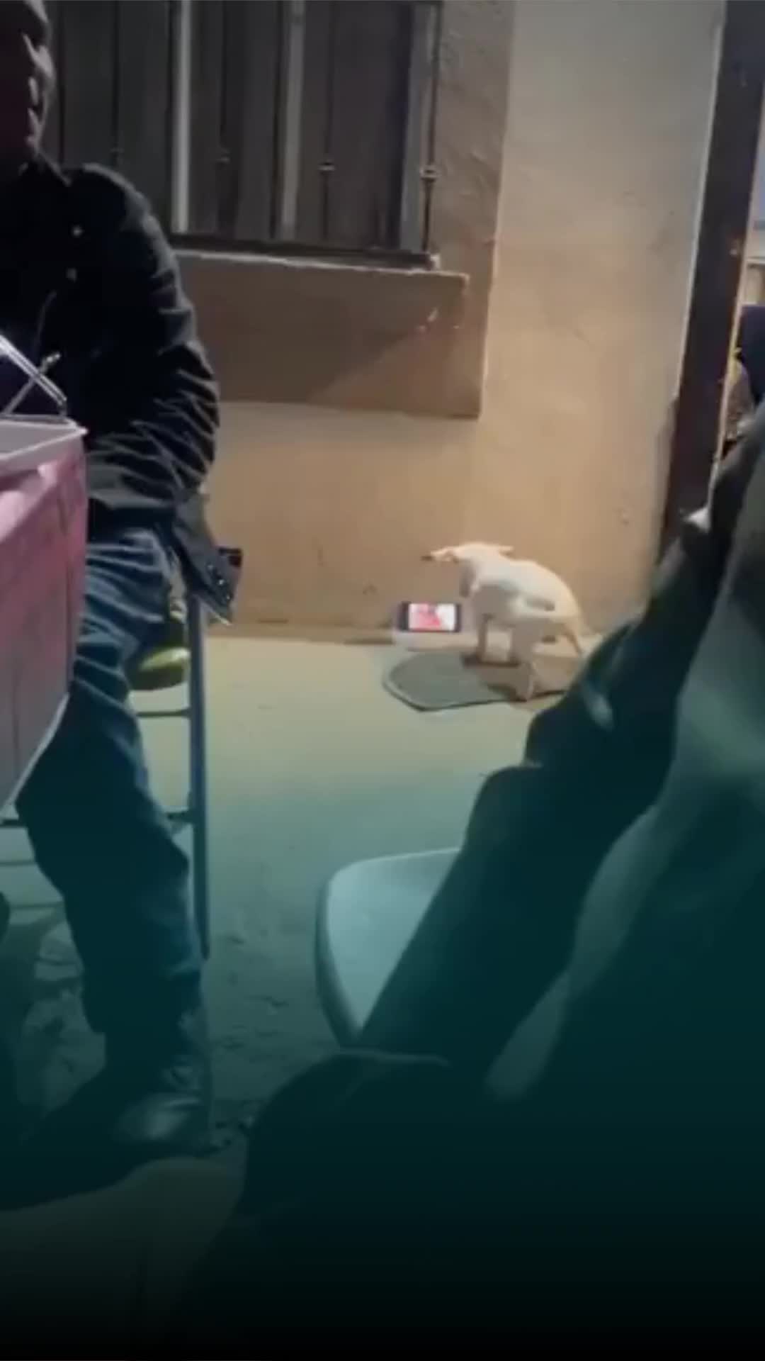 @Entre líneas