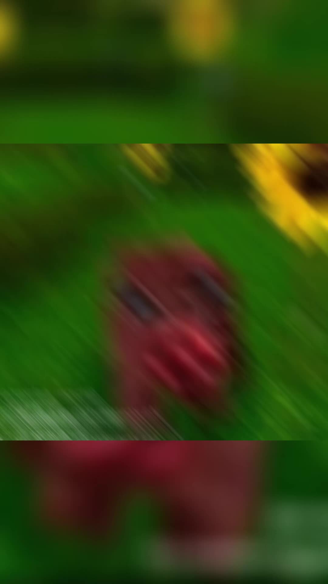 @marctgamer