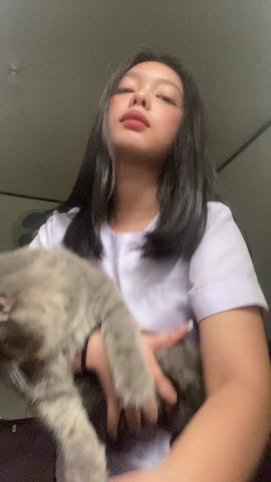 @gab