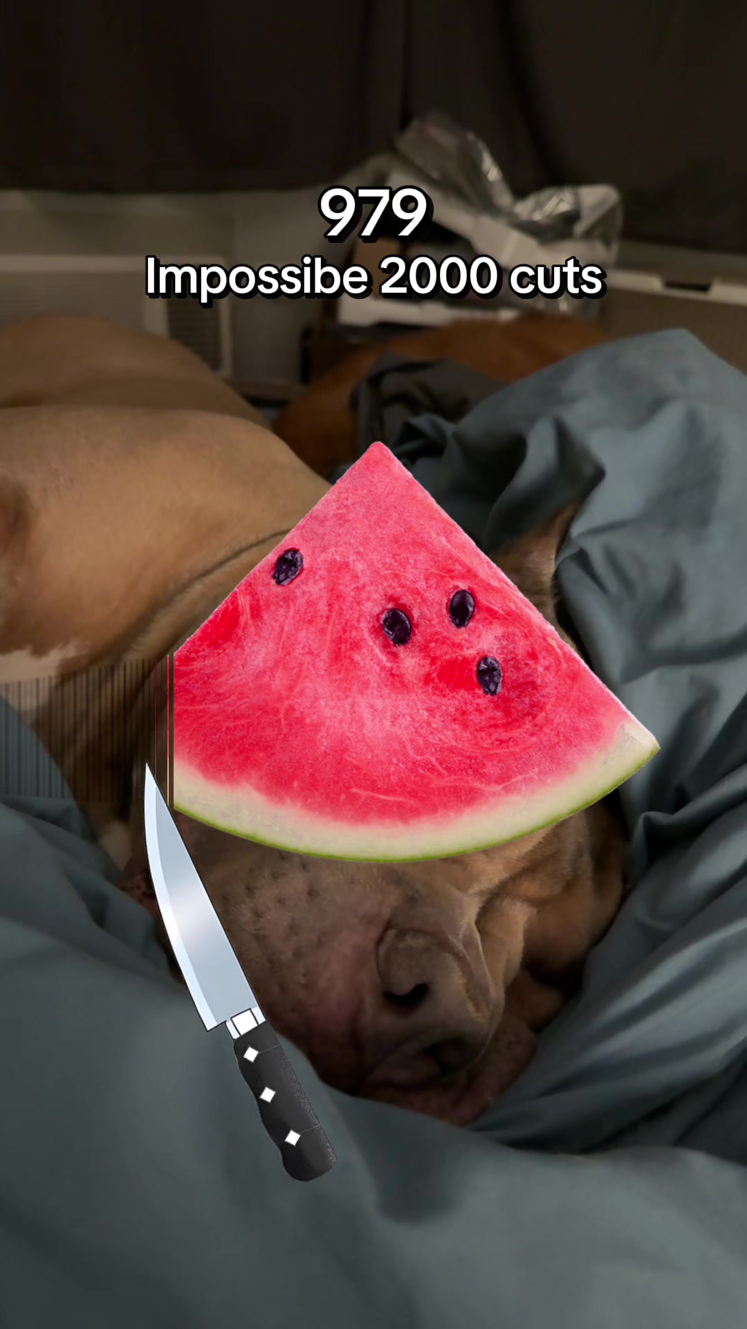 @Booey and Mochi