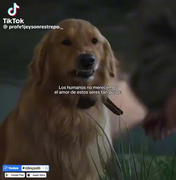 @Luis Ramírezp
