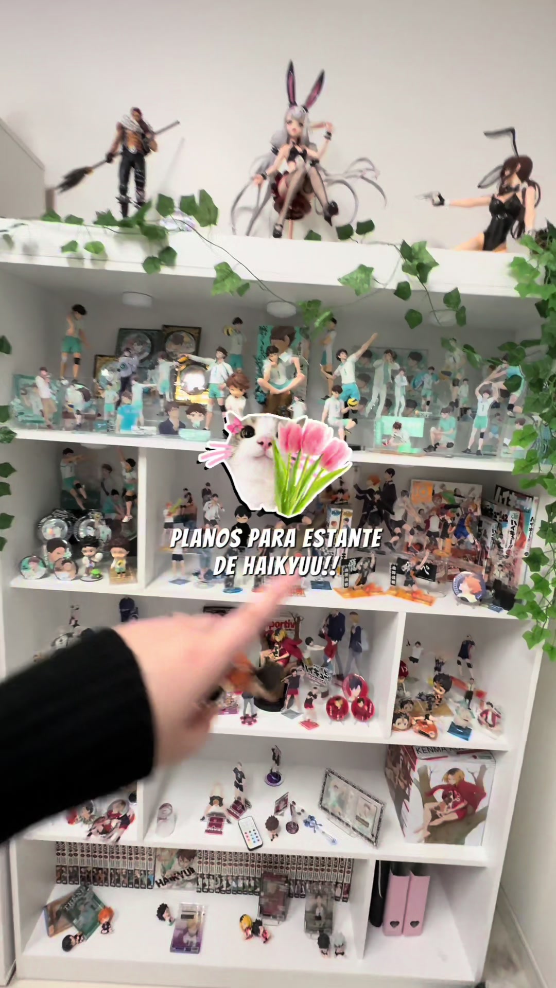 @bocchi_fig