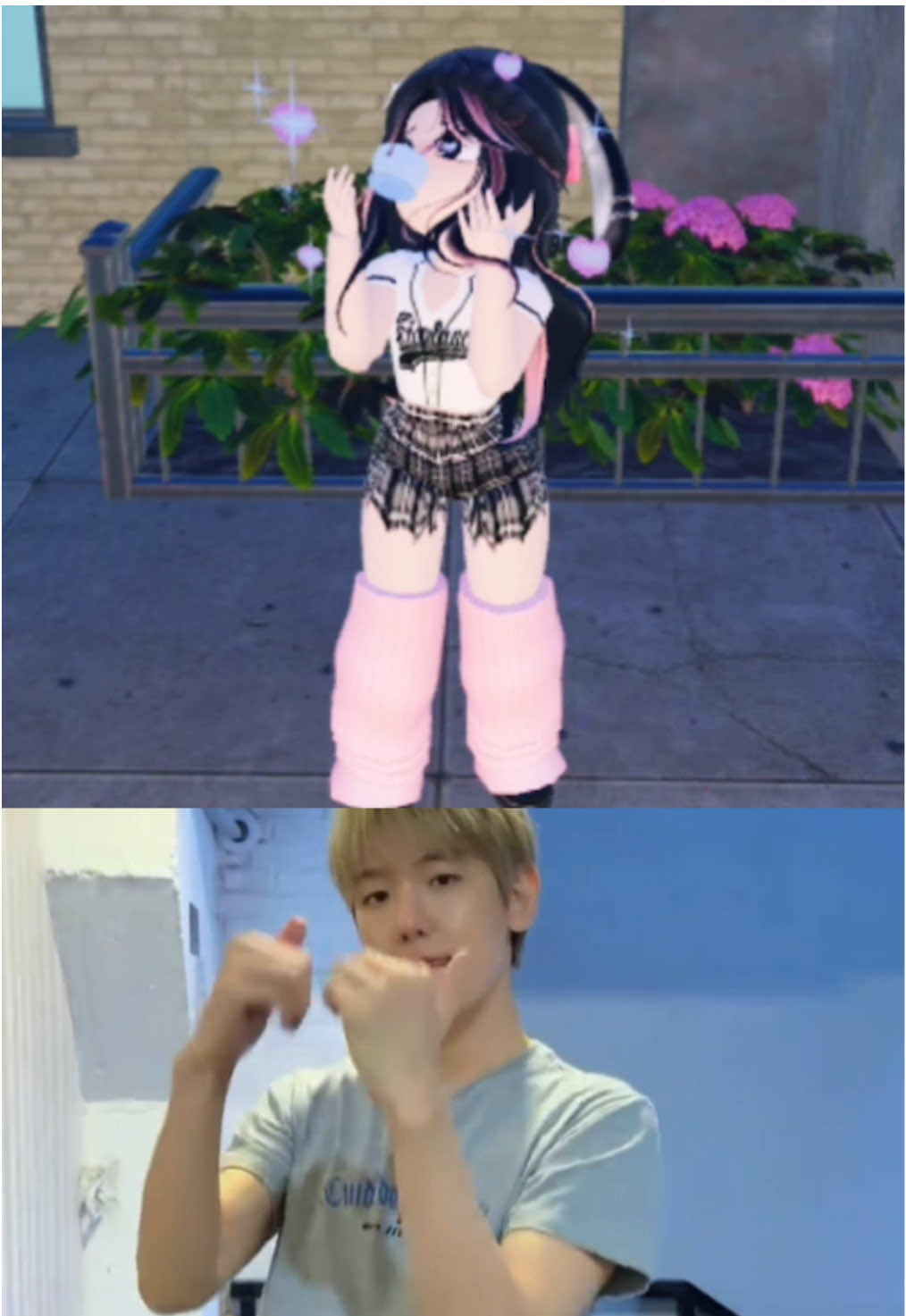 @baozi