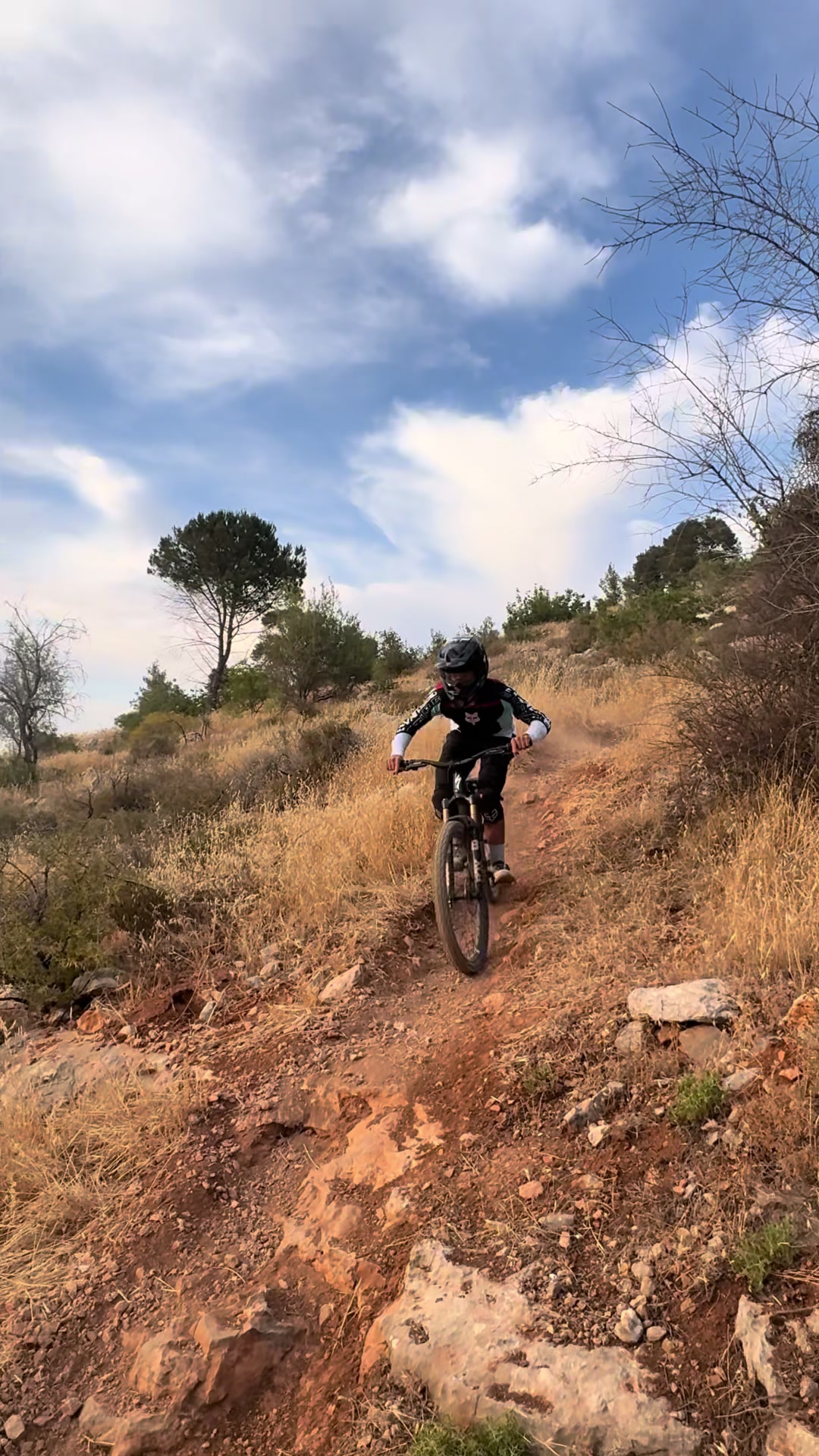 @noam____shimony