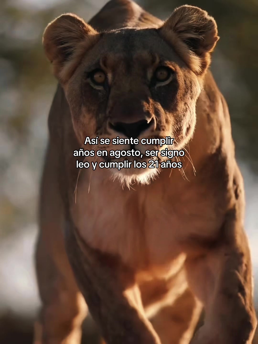 @🐩🤍