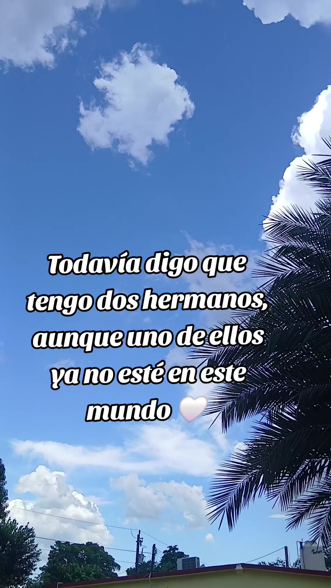 @@alejandra