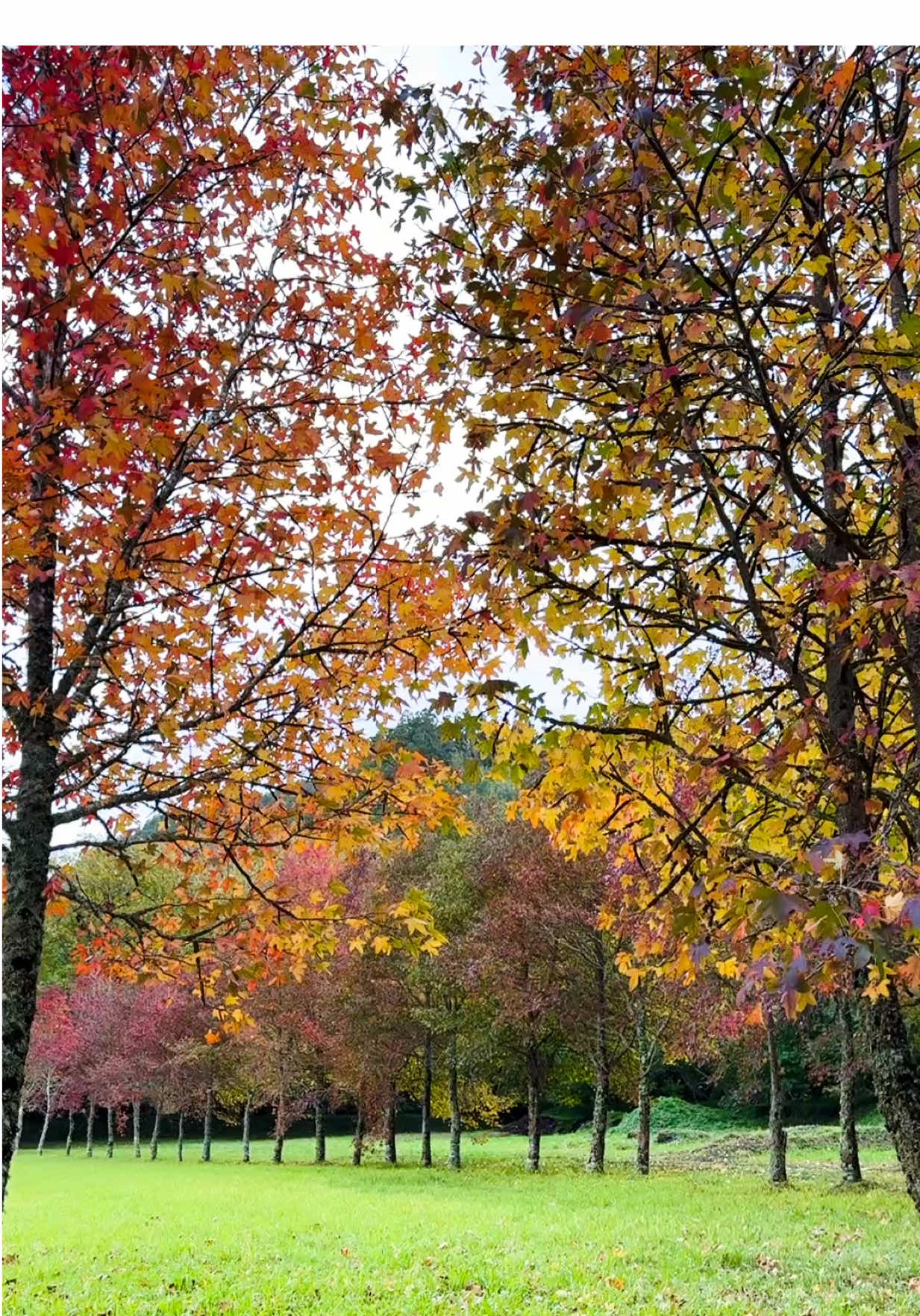 @ABDULLAH | عبدالله ✈️📸