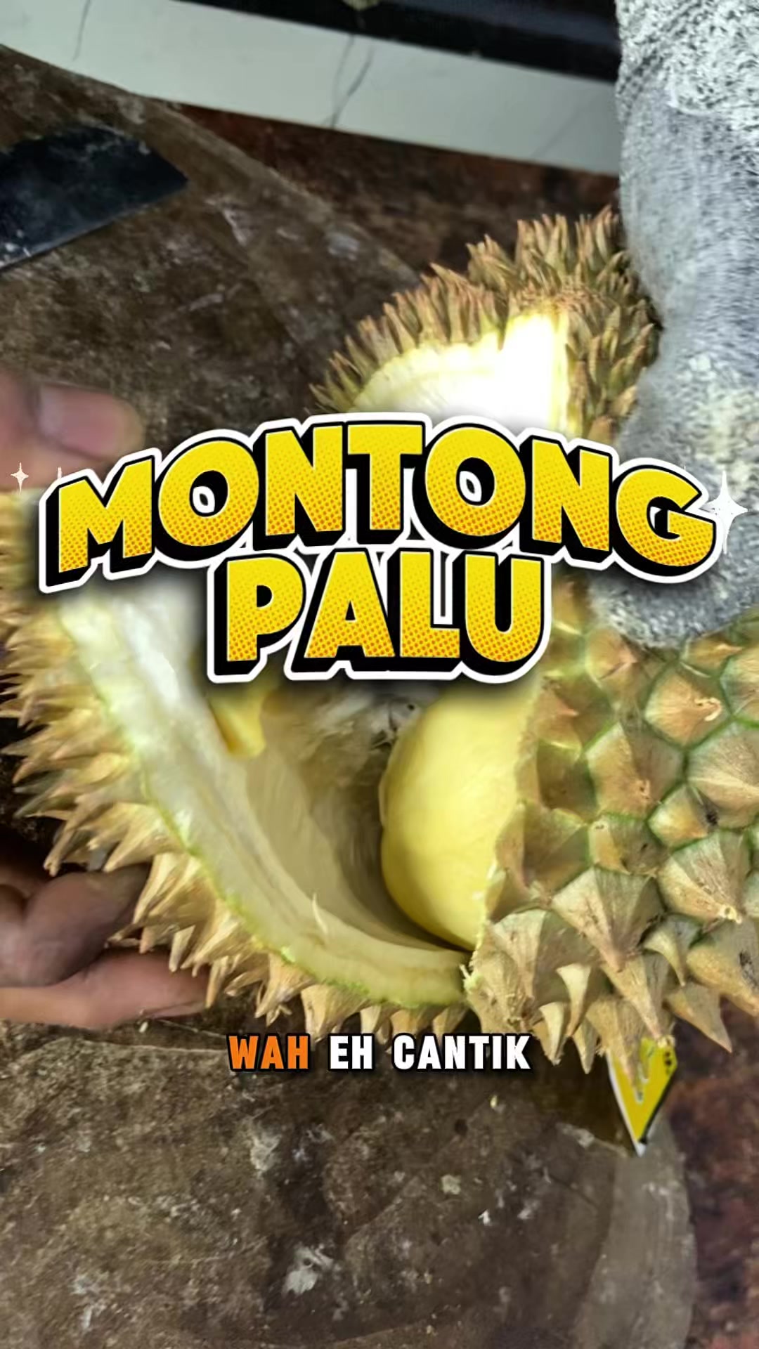 @CICIP DURIAN