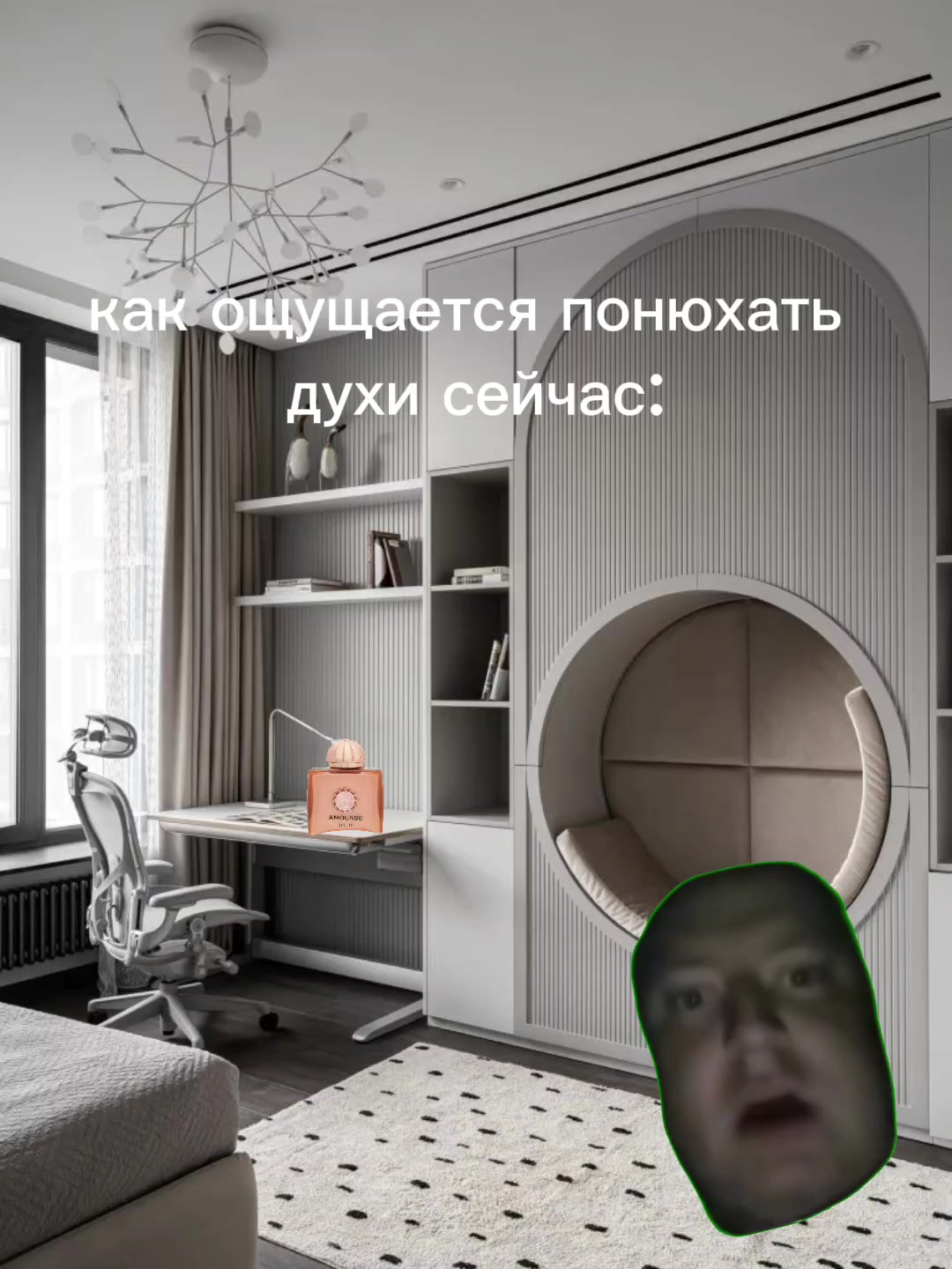@крутая собака☑️ • друзья