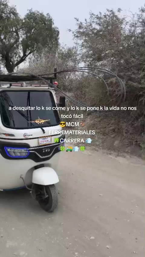 @mariocarrera966
