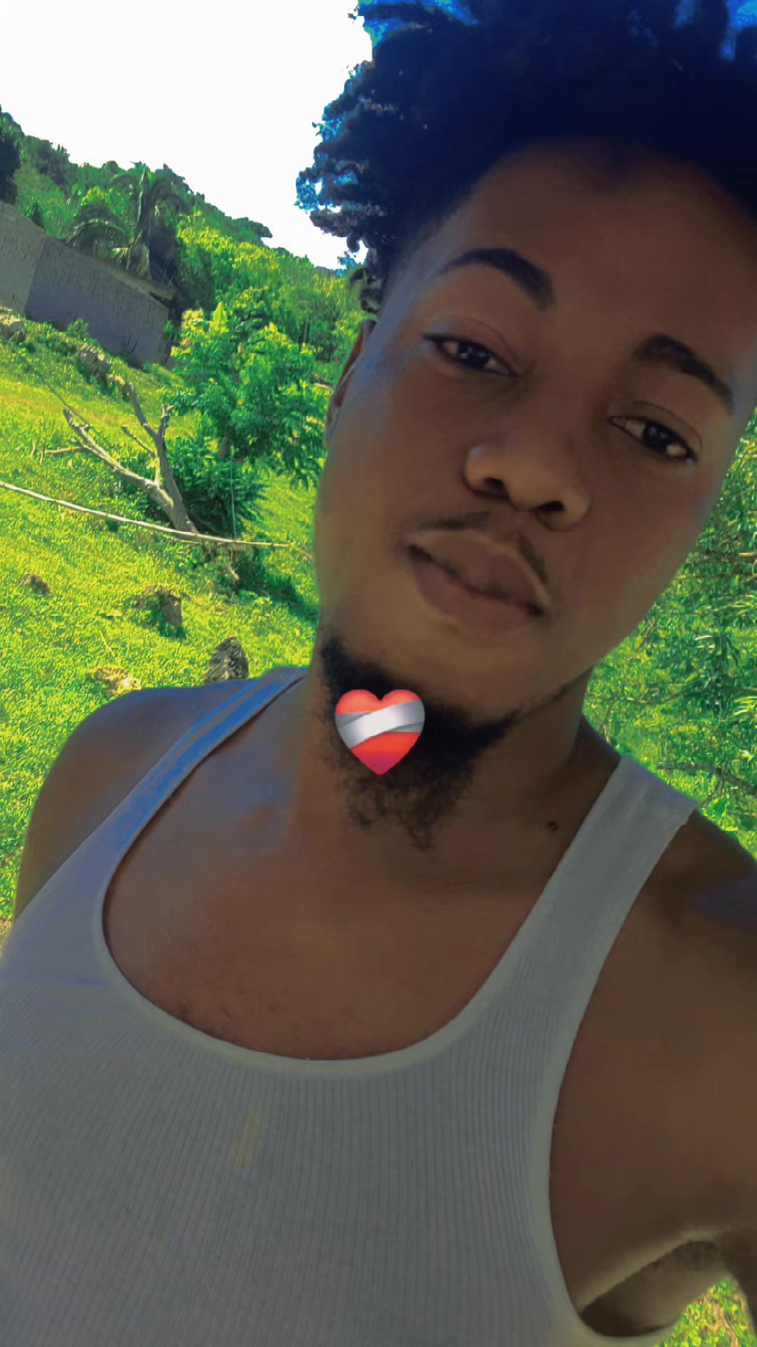 @young boss 🇯🇲🇨🇦🇺🇲