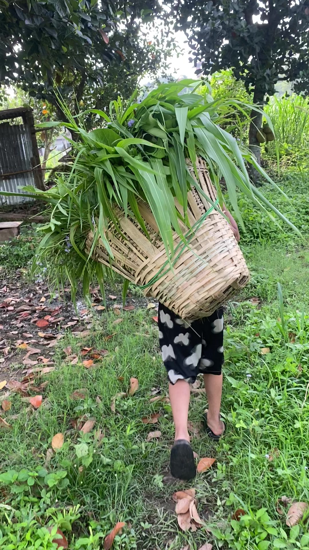 @durbbartula4