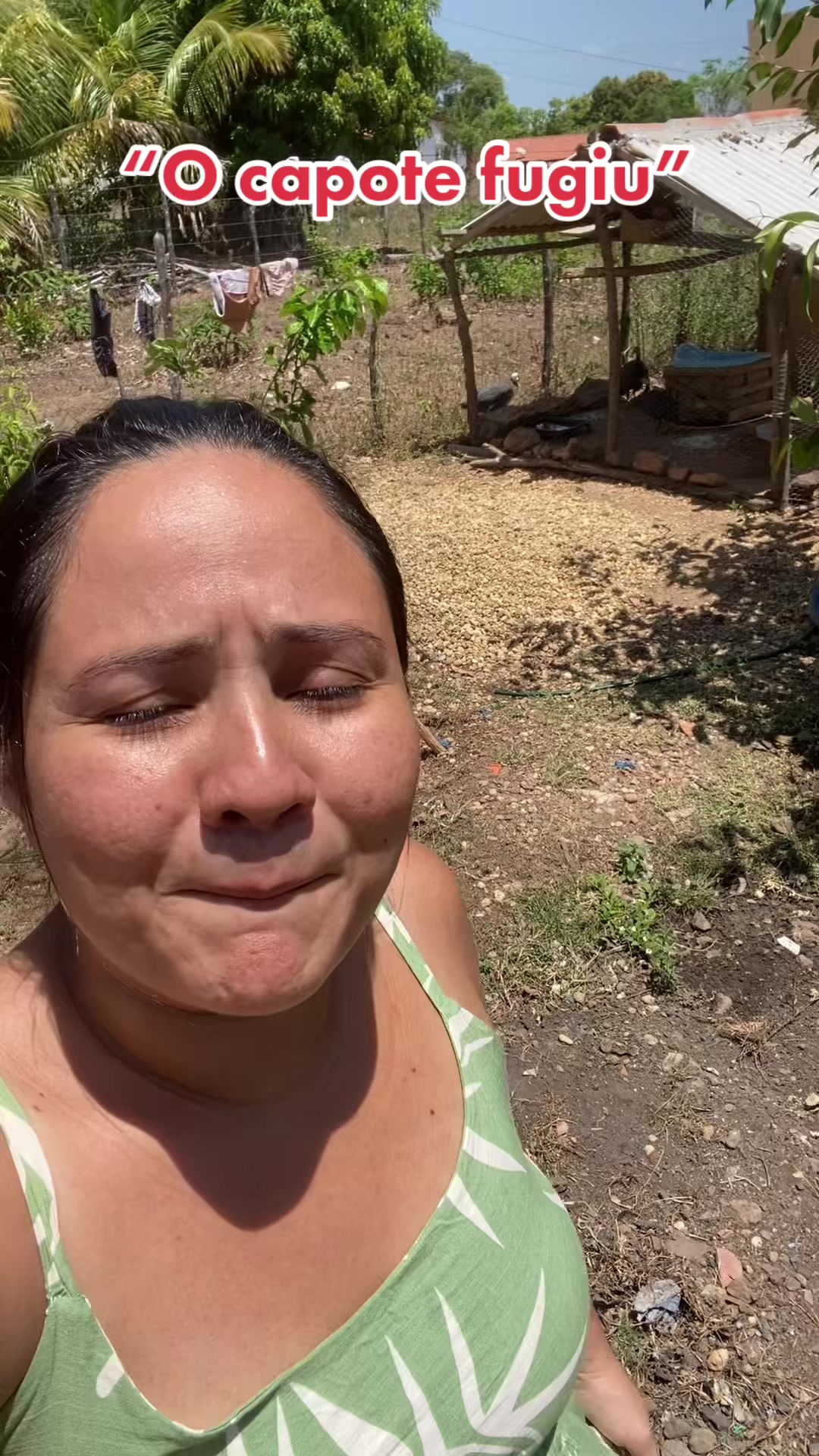 @cidabacellar2