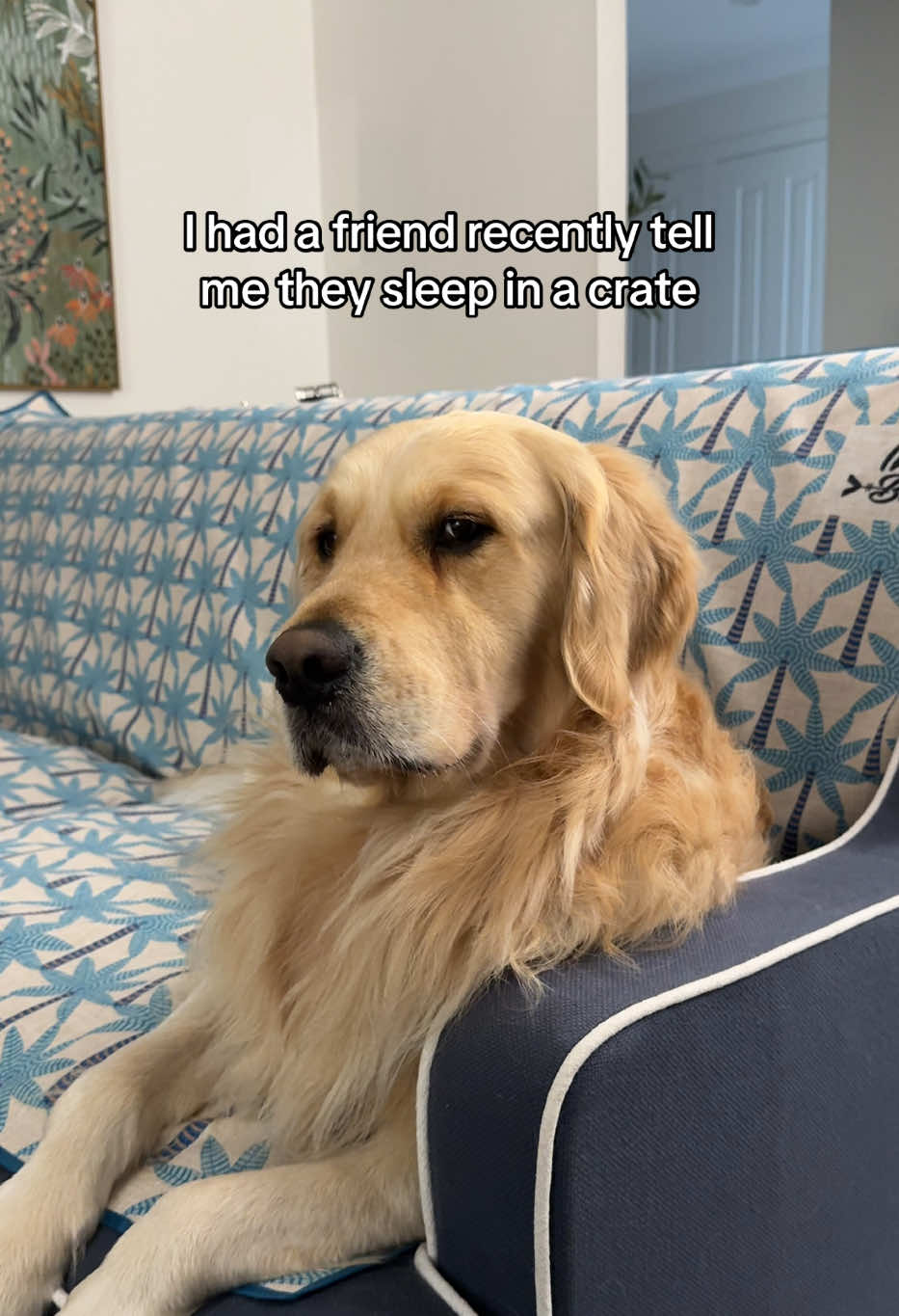 @lunas_golden_life