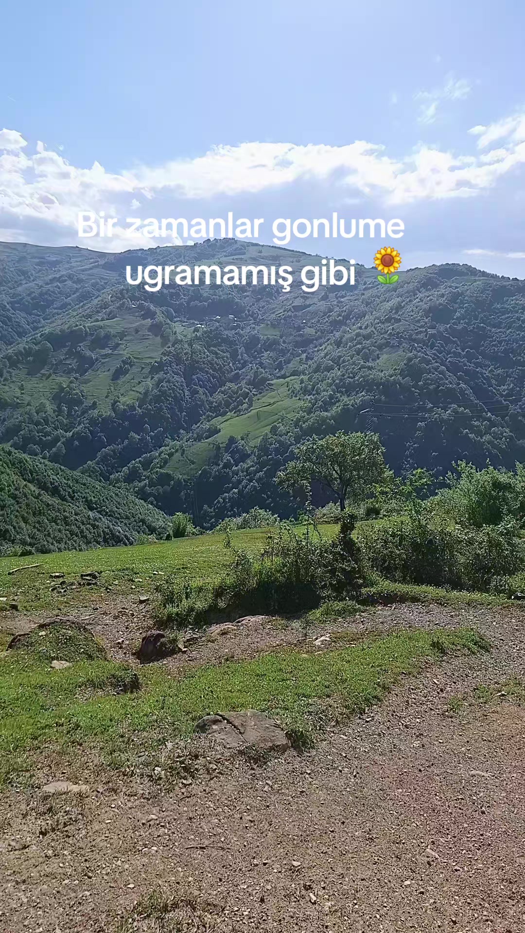 @Özlem55🧿🔱