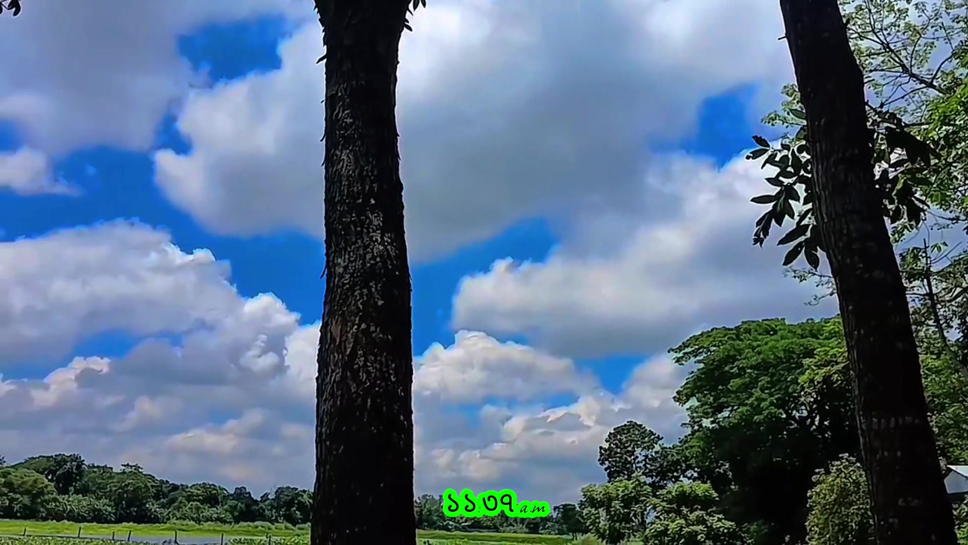 @স্মার্ট ভয় 🤓