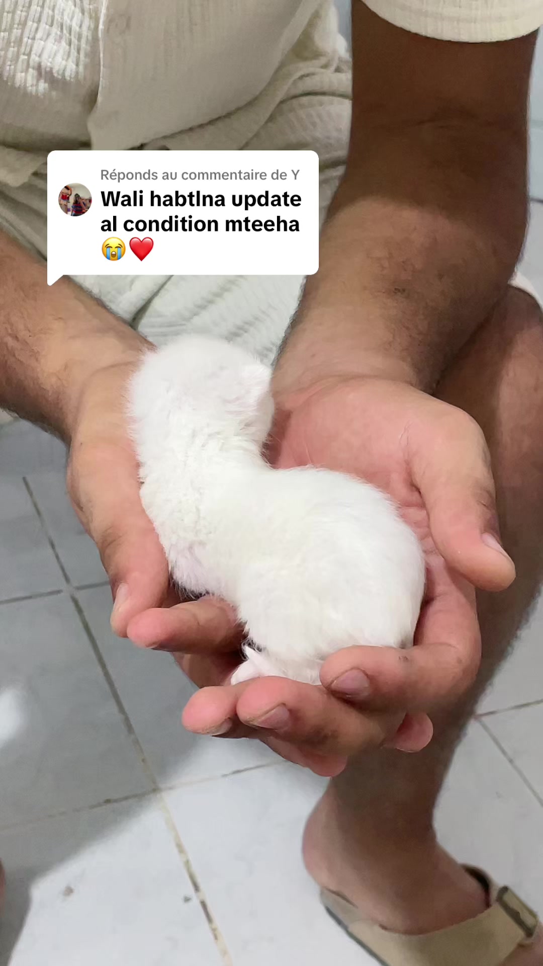 @Raouia 🇹🇳
