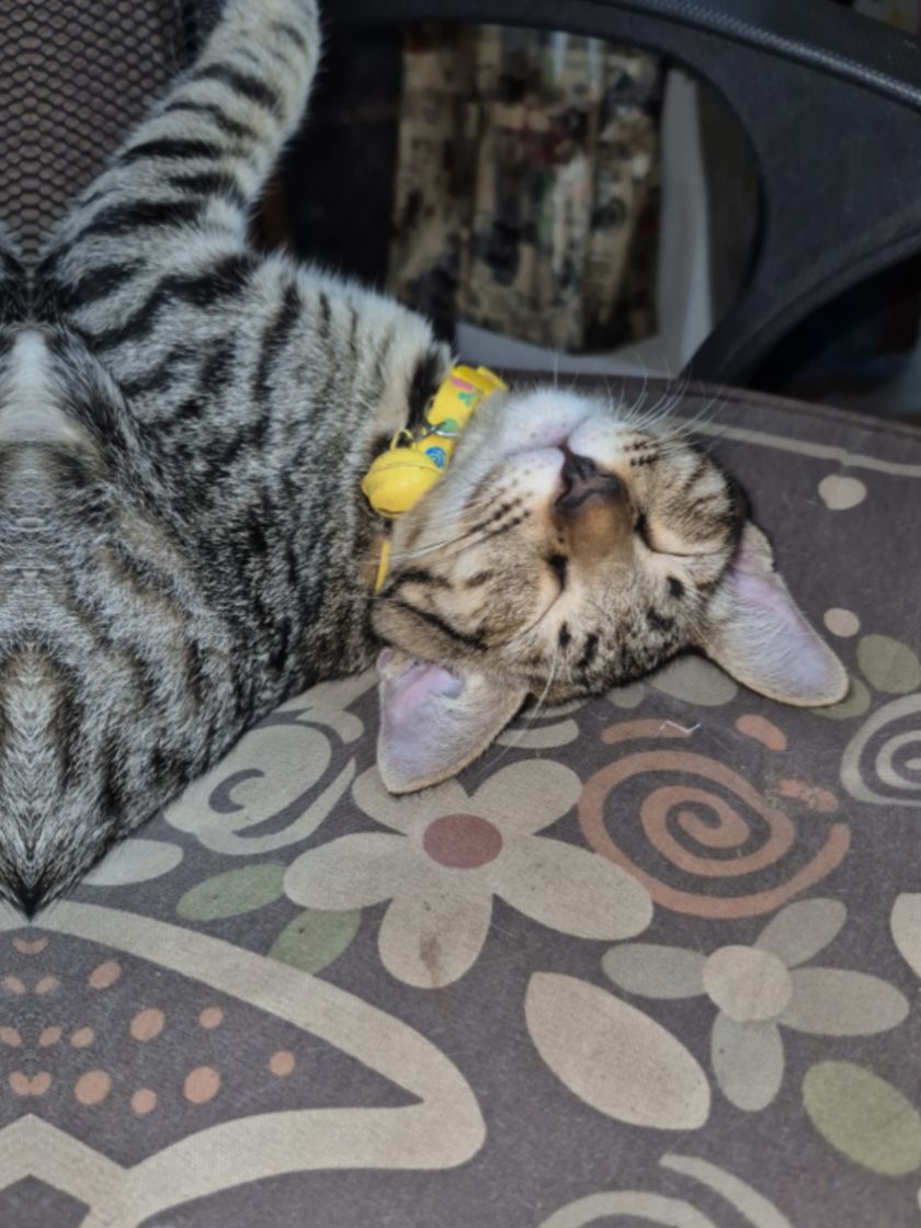 @พี่วิ-Sirikanya
