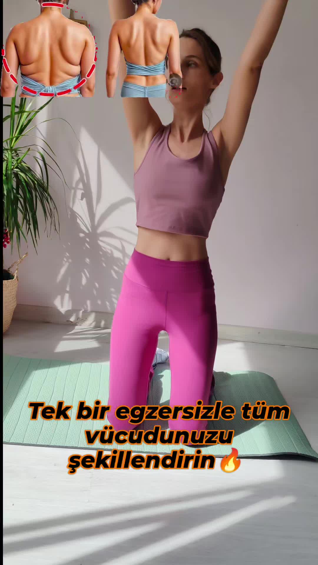 @ipekmori