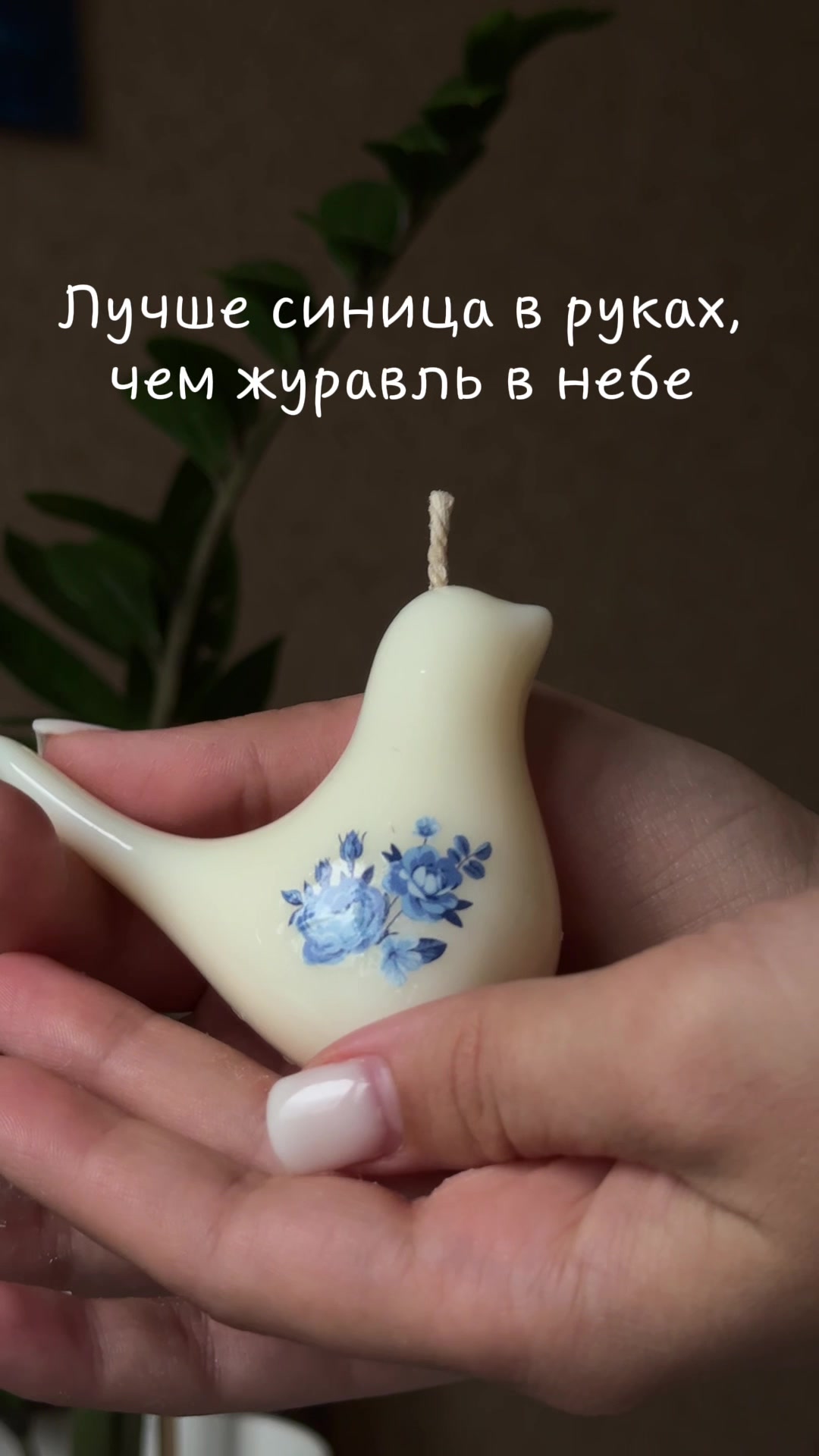 @dinara_aptikeeva
