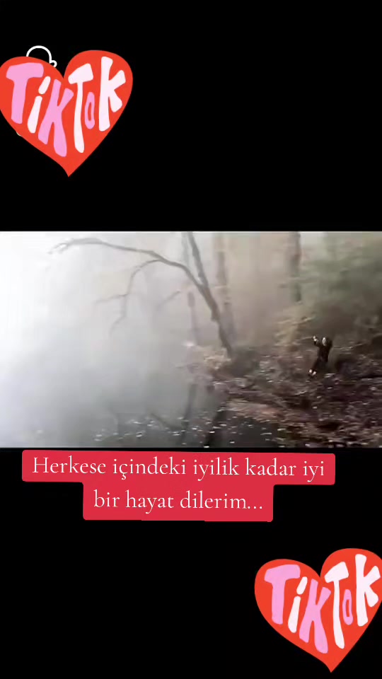 @_hesenli_77