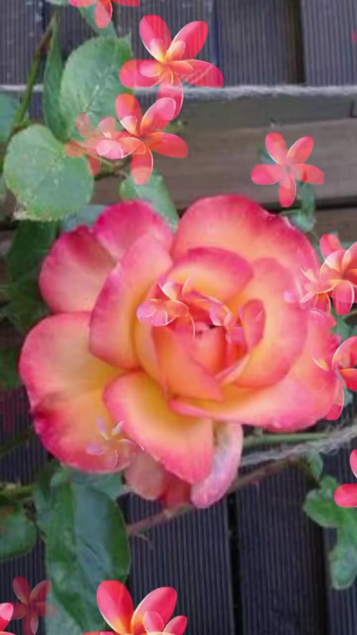 @@sunita