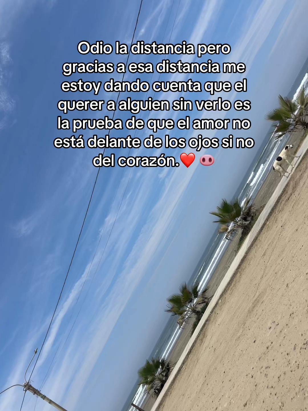 @Ole🩷