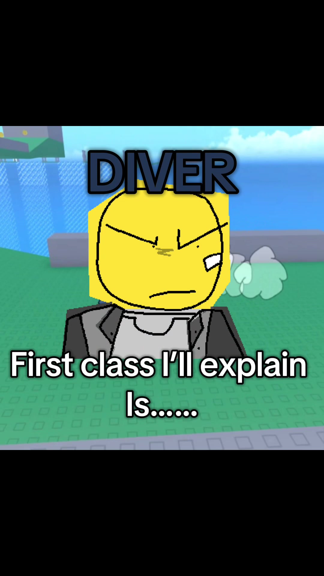 @NullDIVEr